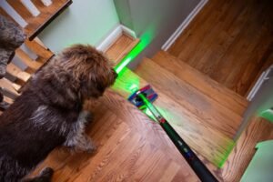 Dyson's Stick Vacuum Drops $150 in Holiday Sale