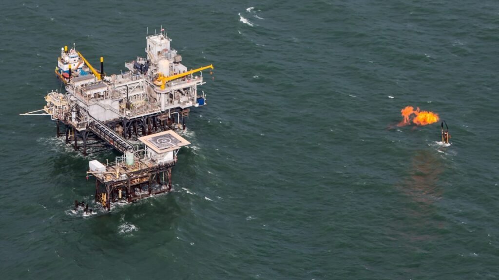 Trump Creates Team to Bypass Wildlife Laws for Oil Drilling