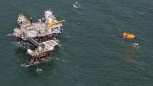 Trump Creates Team to Bypass Wildlife Laws for Oil Drilling