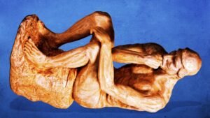 Weird Science Awards Leave US Over Safety Fears