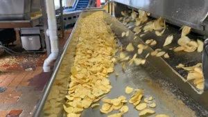 Scientists Design Custom Potatoes Just for Your Chips