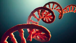 Your Dad's Life Experiences Could Change Your DNA